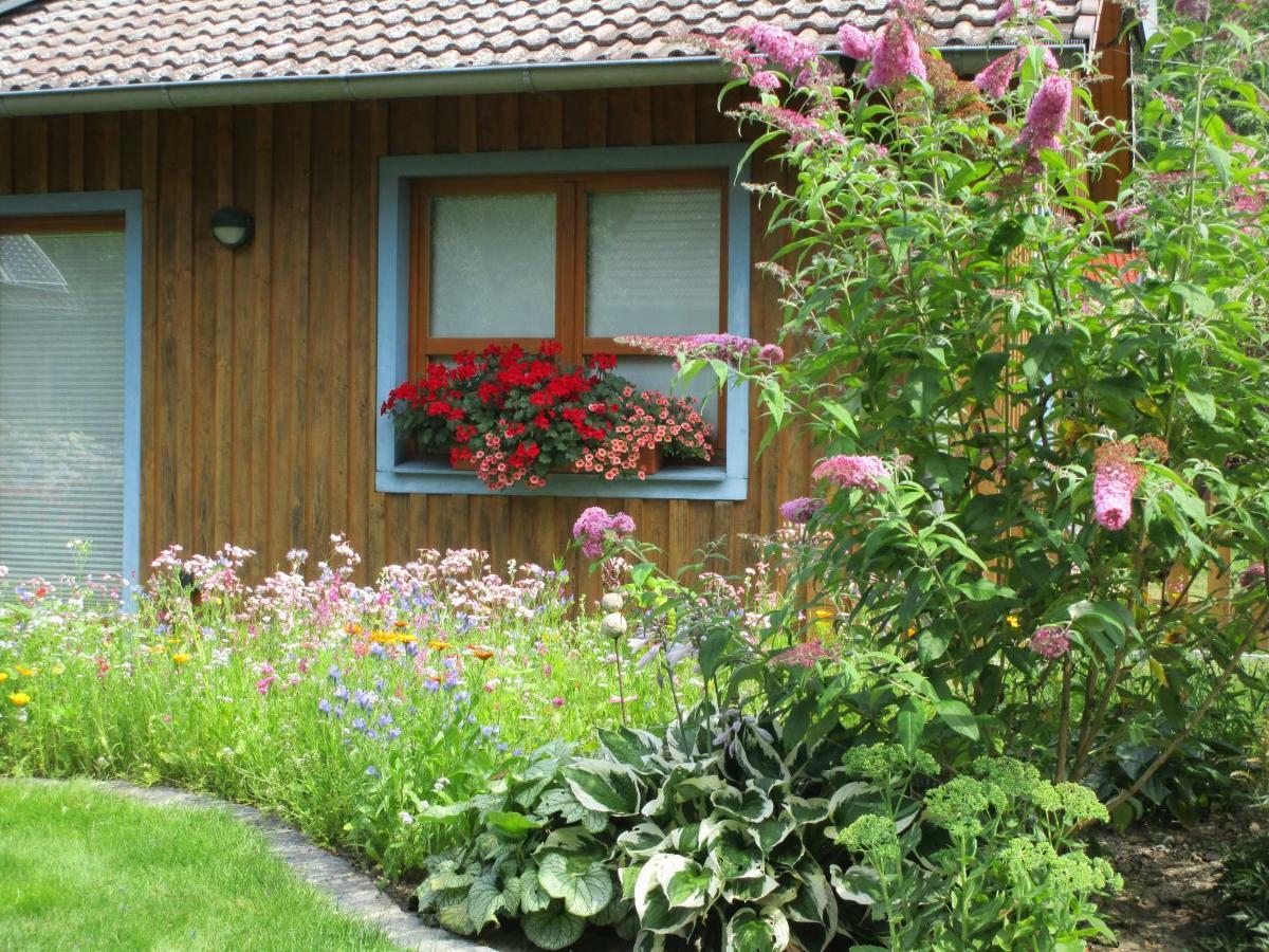 Studioferienhaus Herzogstadt-Celle Exterior photo